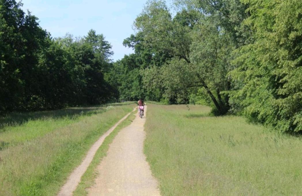 Spreewald Ferienwohnung Noack Lubben Luaran gambar